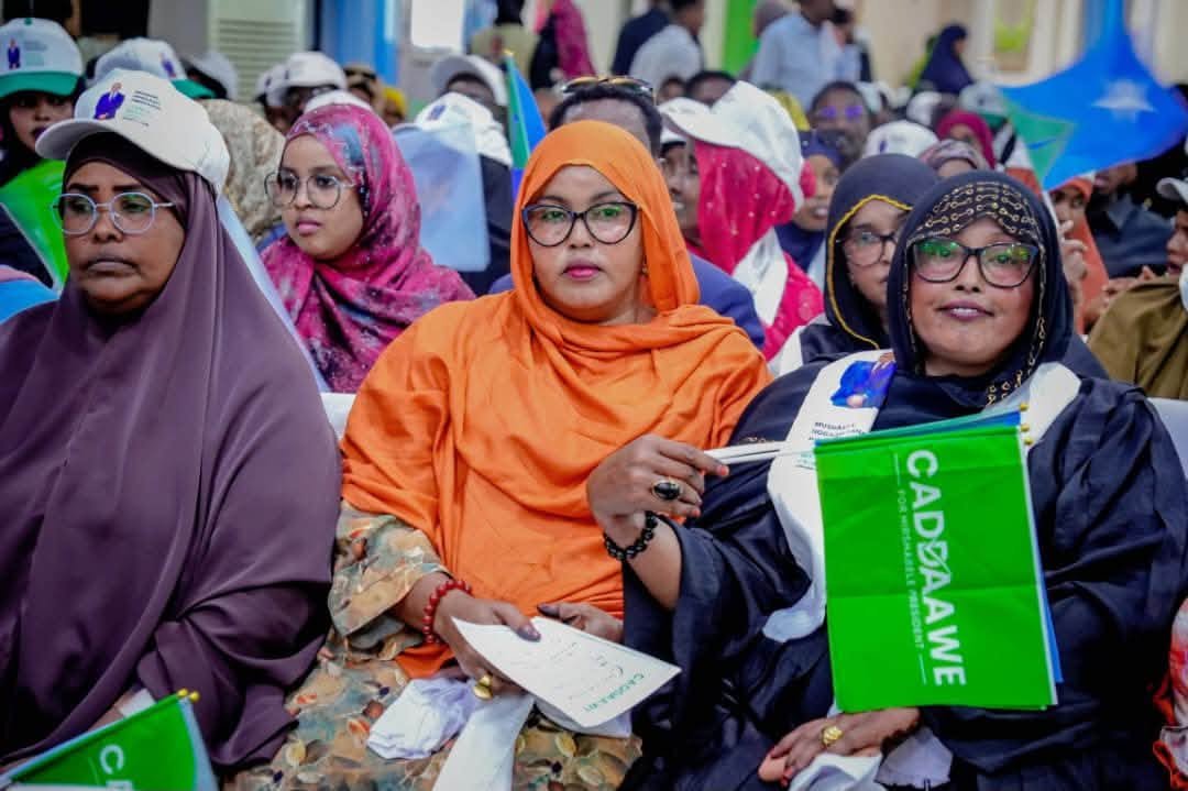 Musharax Hogaamiyaha Hirshabeelle