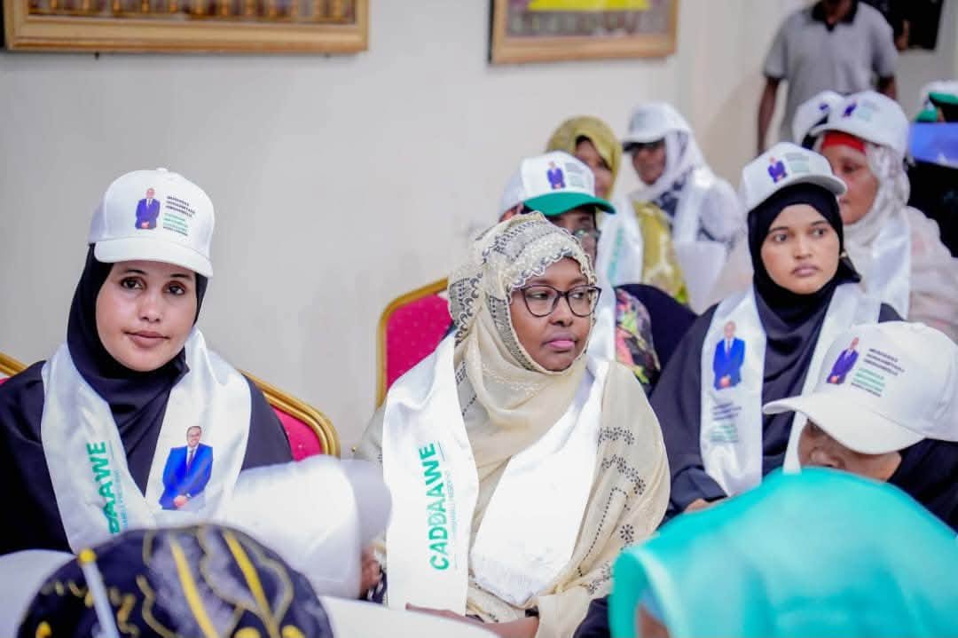 Musharax Hogaamiyaha Hirshabeelle