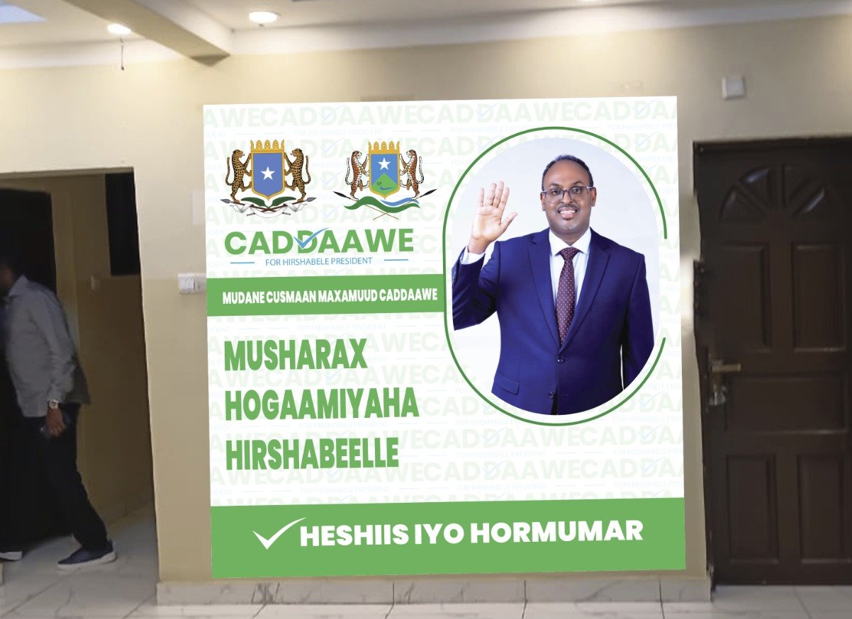 CADDAAWE - Image 2